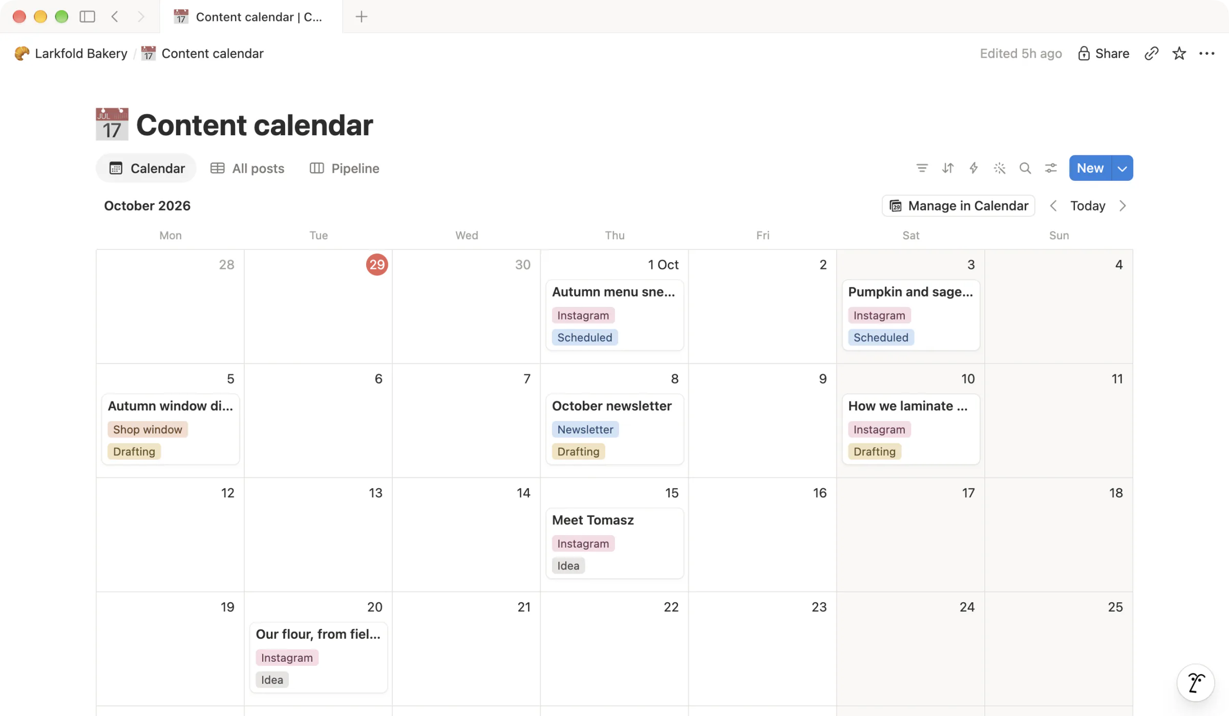 A content calendar for October with Instagram posts, a newsletter and a shop window display, each tagged by status.